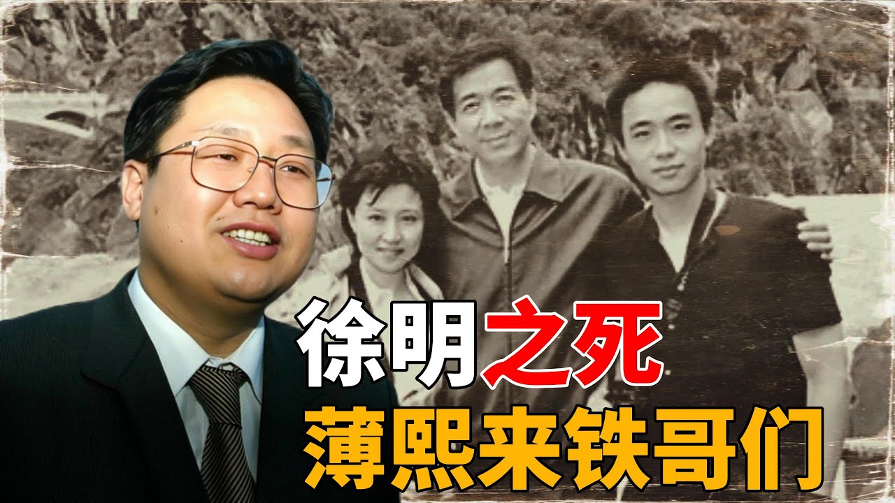 东北首富徐明，薄熙来铁哥们，28岁成为亿万富翁，44岁死于监狱，留下明星妻子守寡