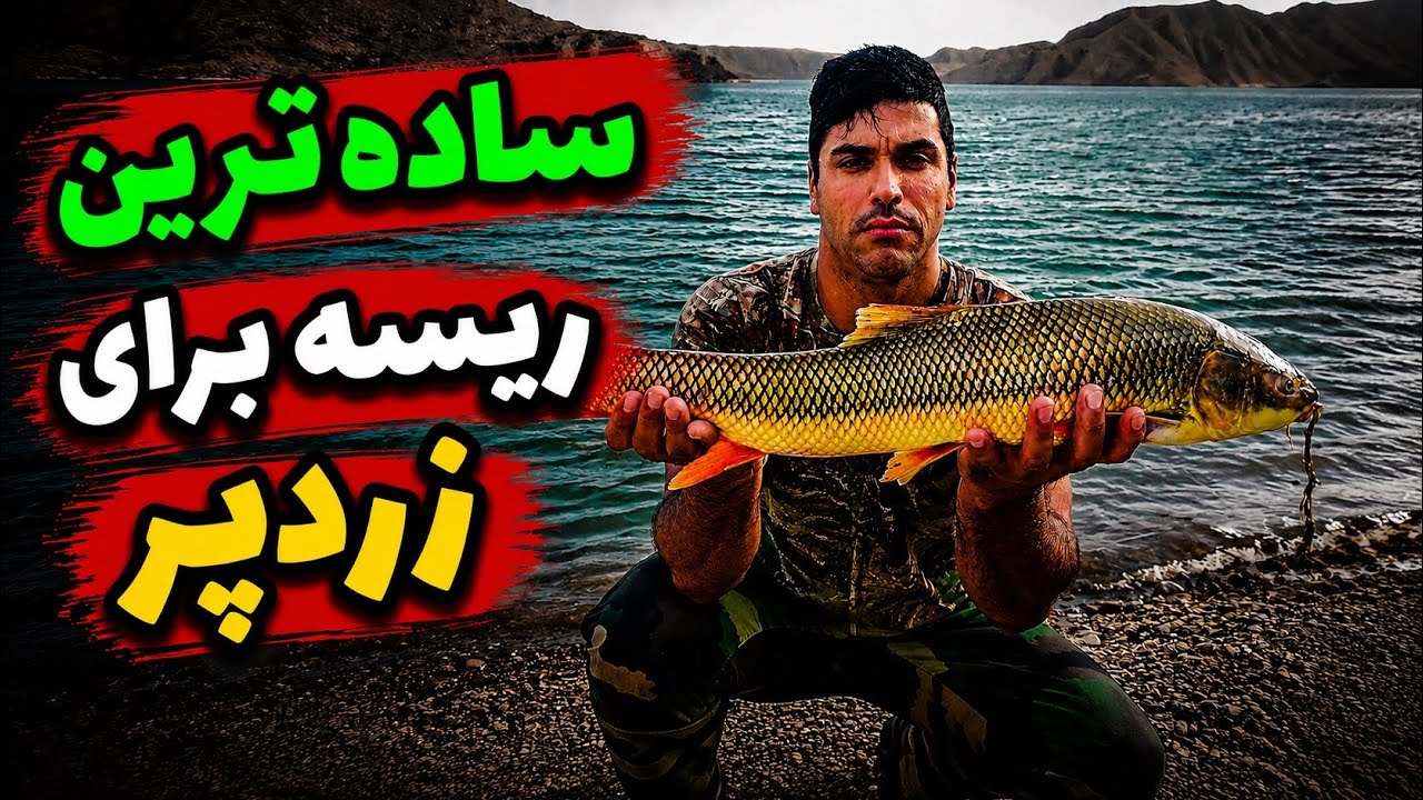 ساده ترین ریسه برای صید زردپر #ریسه_ماهی_زردپر