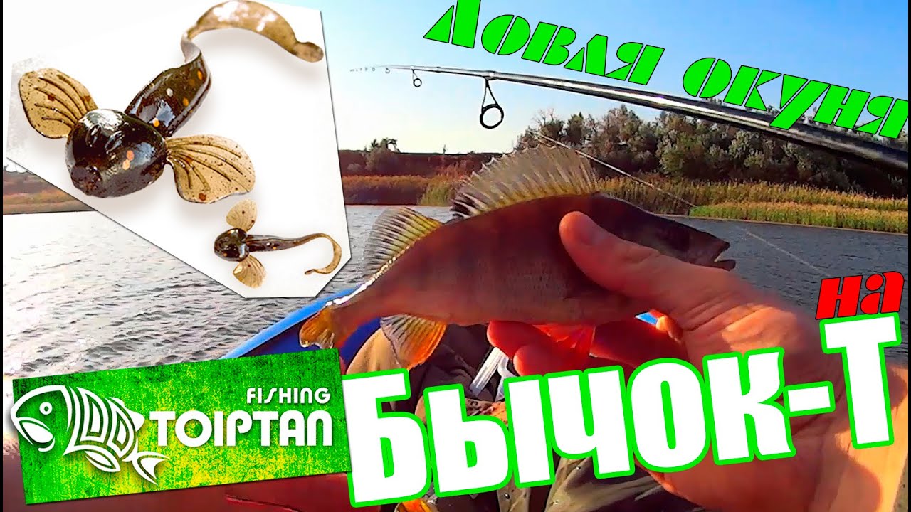 Ловля окуня на силиконовые приманки Бычок-Т 2.25″ от ТОІРТАП.