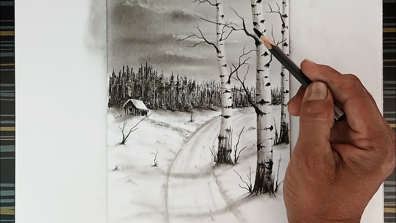 How to draw birch trees landscape by pencil/ Drawing for beginners/