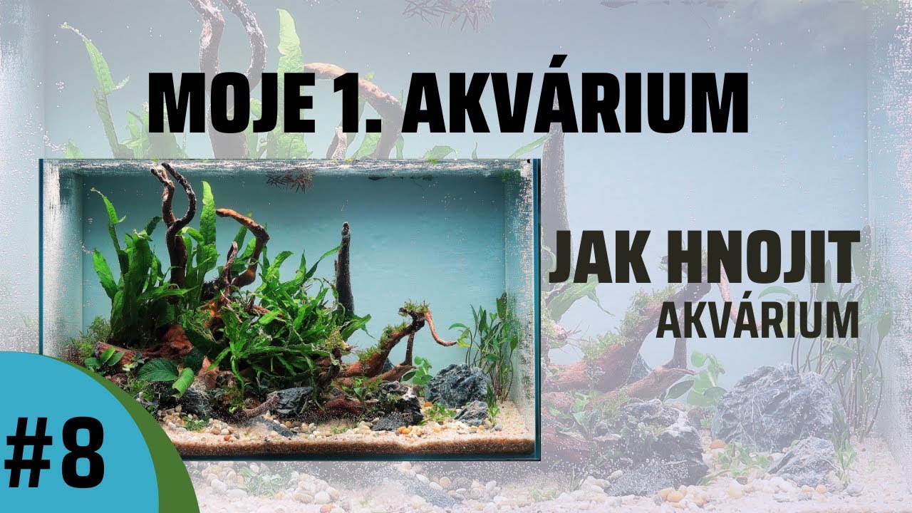 #8 Jak Správně HNOJIT Akvárium! Nenáročné Akvárium Pro Začátečníky, Bez CO2 ,Jak si založit Akvárium