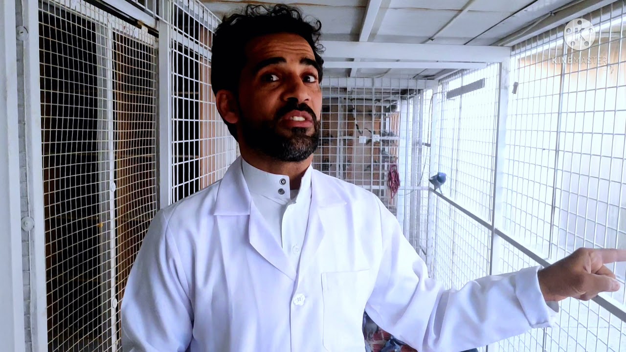 لقاء مع بطل النقاط الدولي صالح العبدالله ابورحمه صاحب لوفت ساره