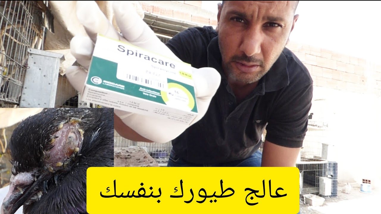 القضاء على أخطر أمراض الحمام
