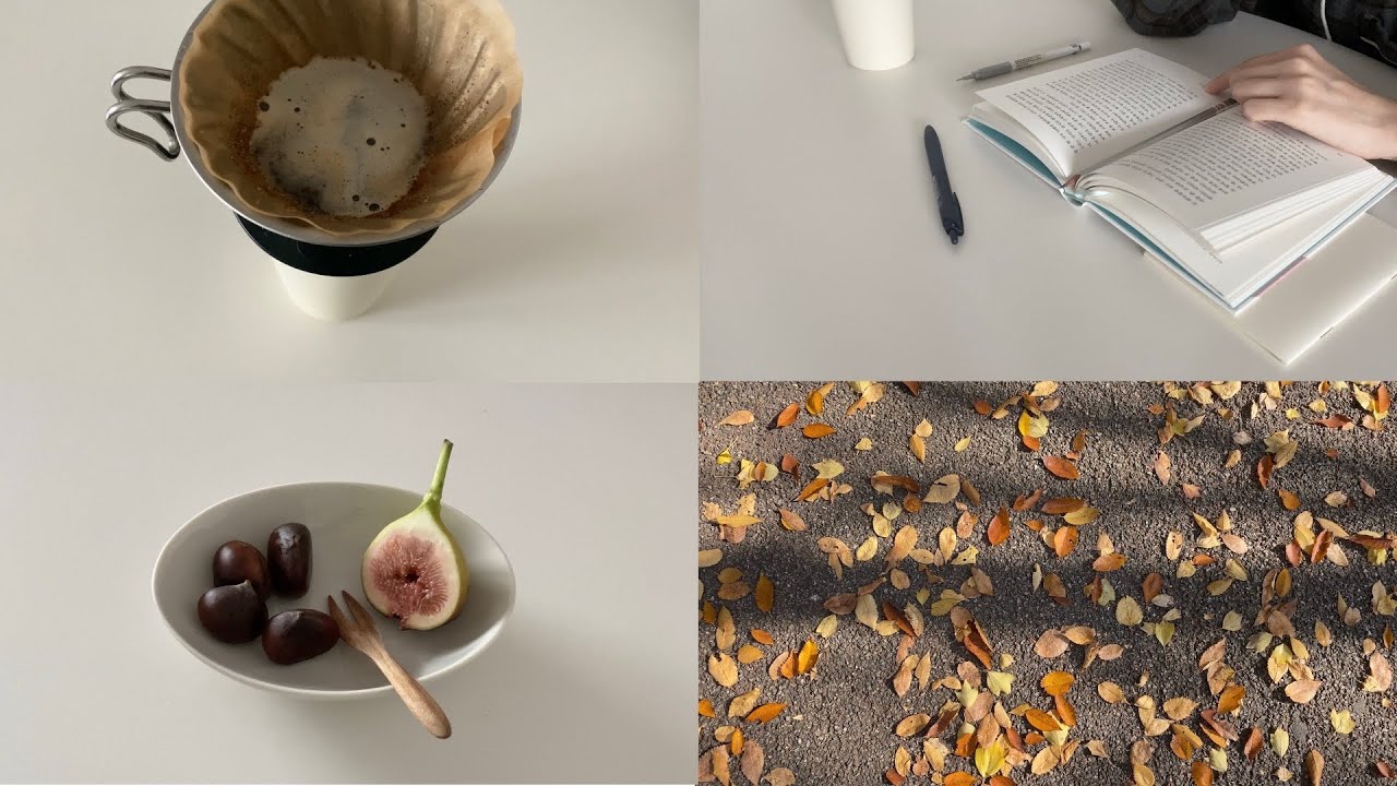 반복되는 매일 속, 작은 기쁨들 🍁☕️📖