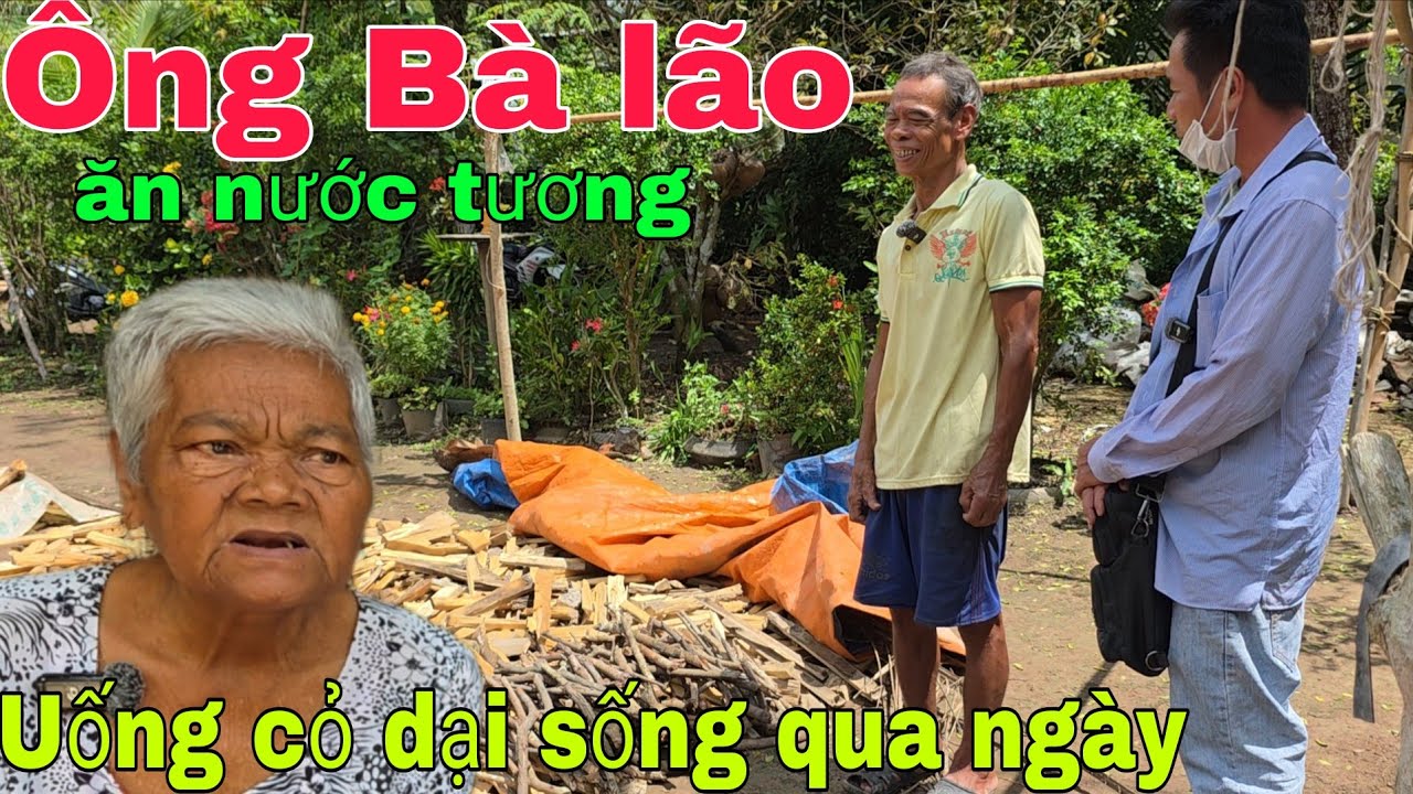 Nhà nghèo khổ Ông Bà lão ăn nước tương uống cỏ dại sống qua ngày.  Nghĩa Phước Vlog 
