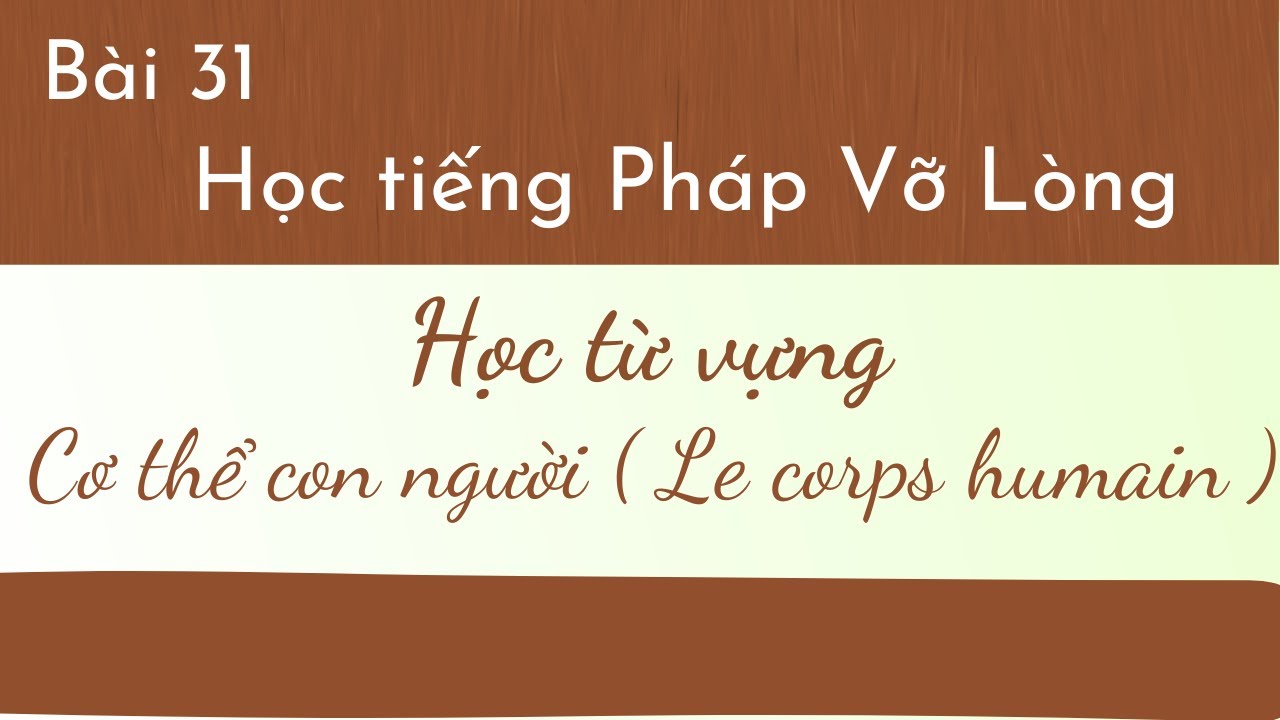 bài 31- Tự học tiếng Pháp Vỡ lòng - Học từ vựng - Cơ thể con người ( Le corps humain )