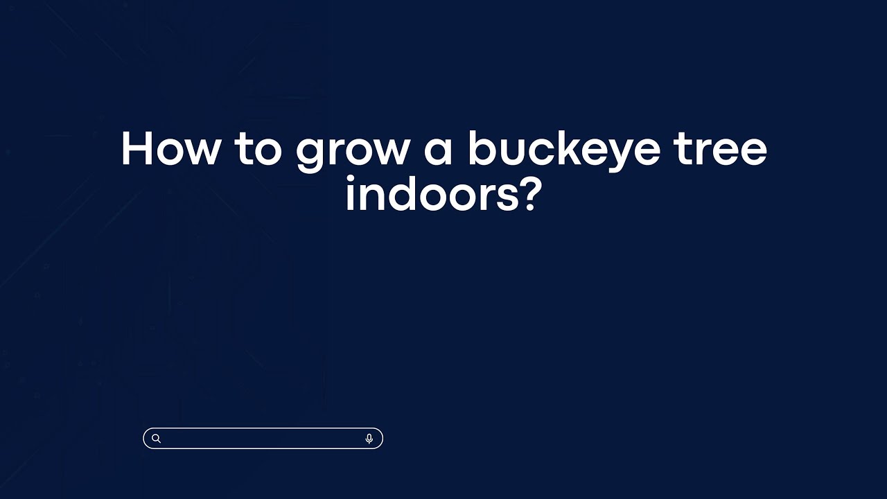 How to grow a buckeye tree indoors?