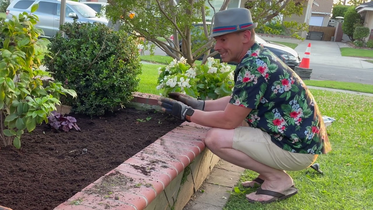 Begonias for Sun or Shade will WOW in Your Garden (Low Maintenance)  | Gardening with the Williams'