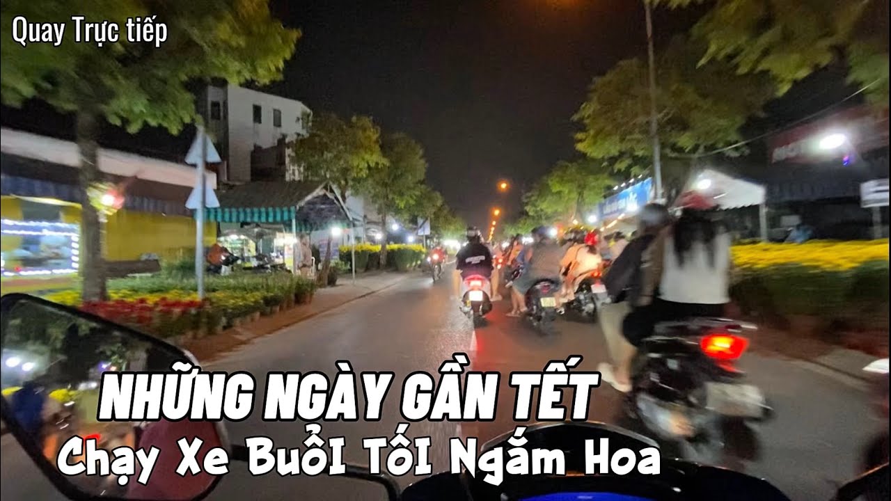 Chạy Xe Ngắm Hoa Buổi Tối 