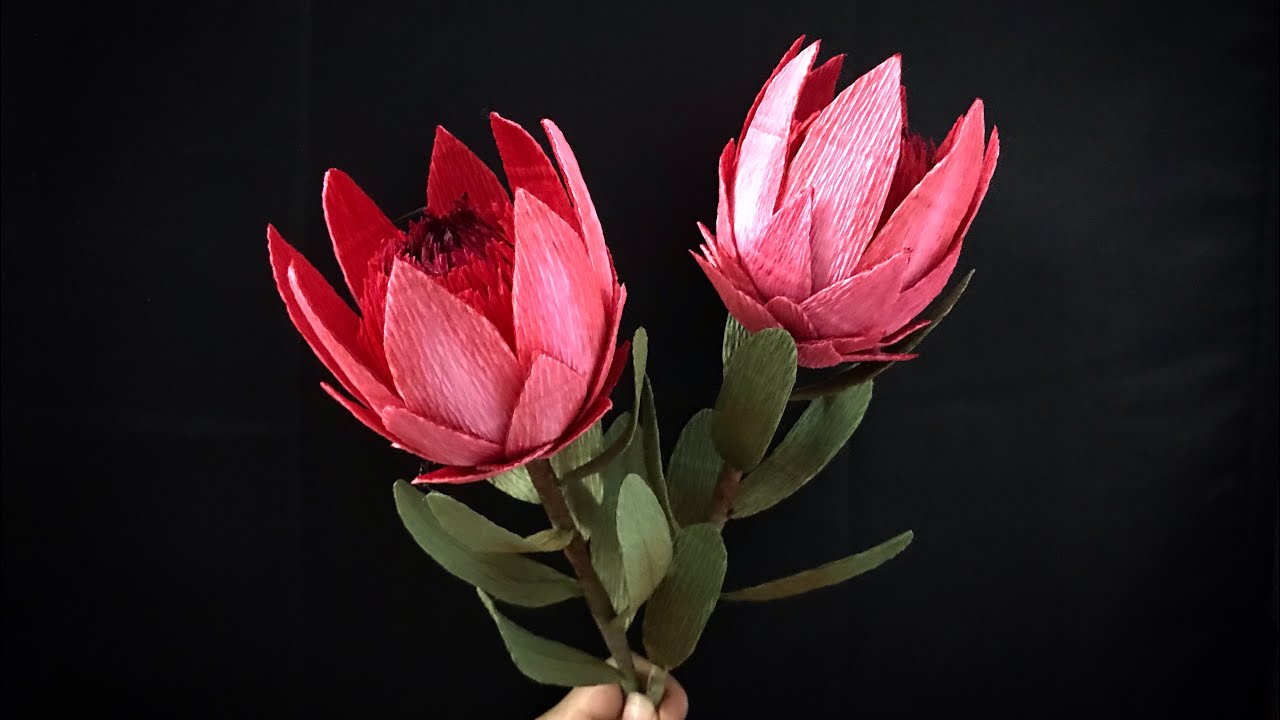 Bella’s Craft/How to make Protea flower by crepe paper/Hướng dẫn làm hoa bình mật bằng giấy nhún