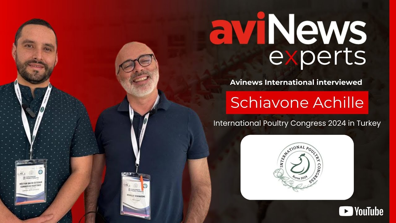 Avinews International interviewed Schiavone Achille at International Poultry Congress 2024 in Turkey