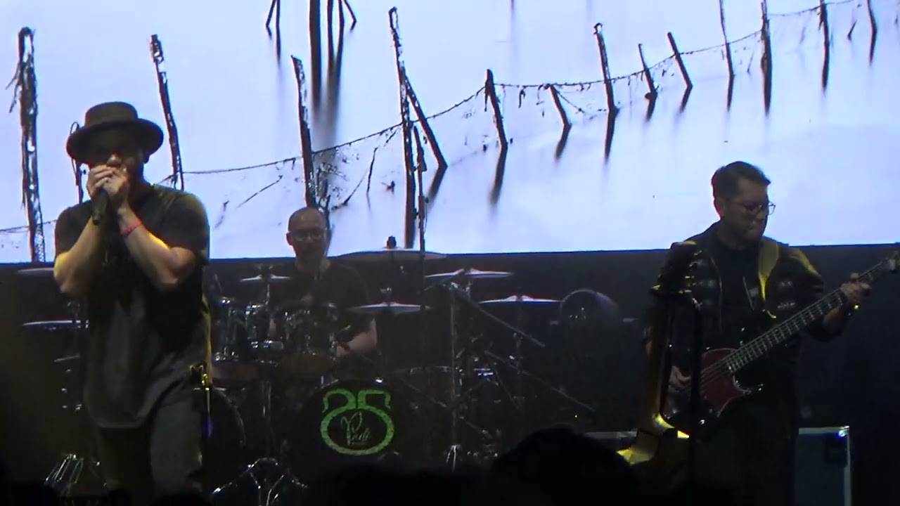 Repihan Hati dalam Konser 25 Tahun PADI