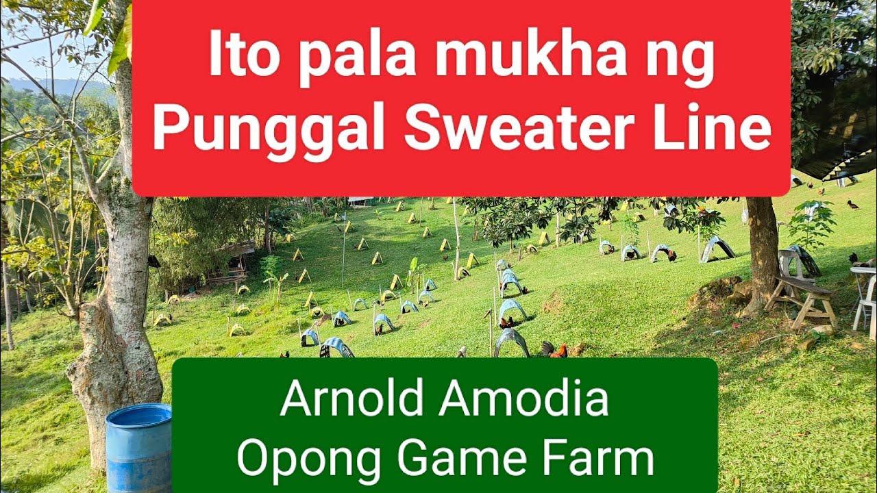 EP565: Punggal Sweater Line ito pala ang mukha..