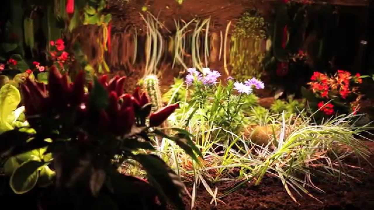 POTAGECO vu par le grand druide de Bretagne