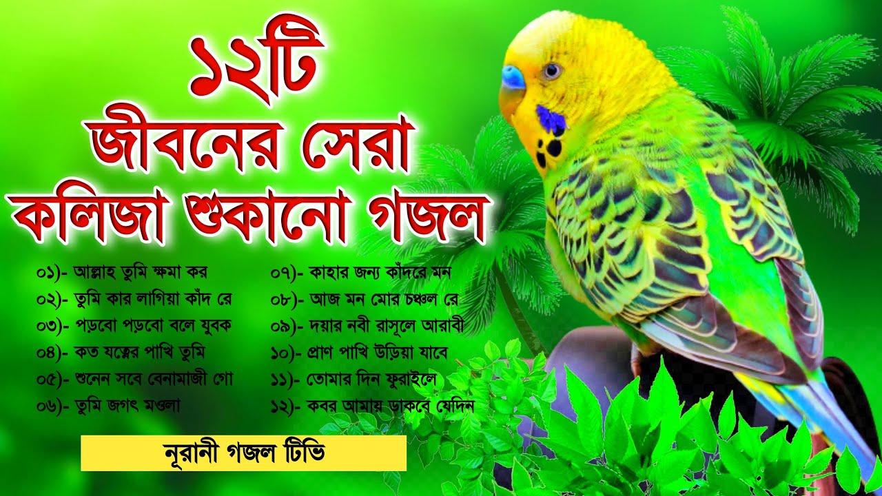 জীবনের সেরা ১২টি বাছাই করা কলিজা শুকানো গজল || Heart Touching Emotional Top 12 Islamic Gojol