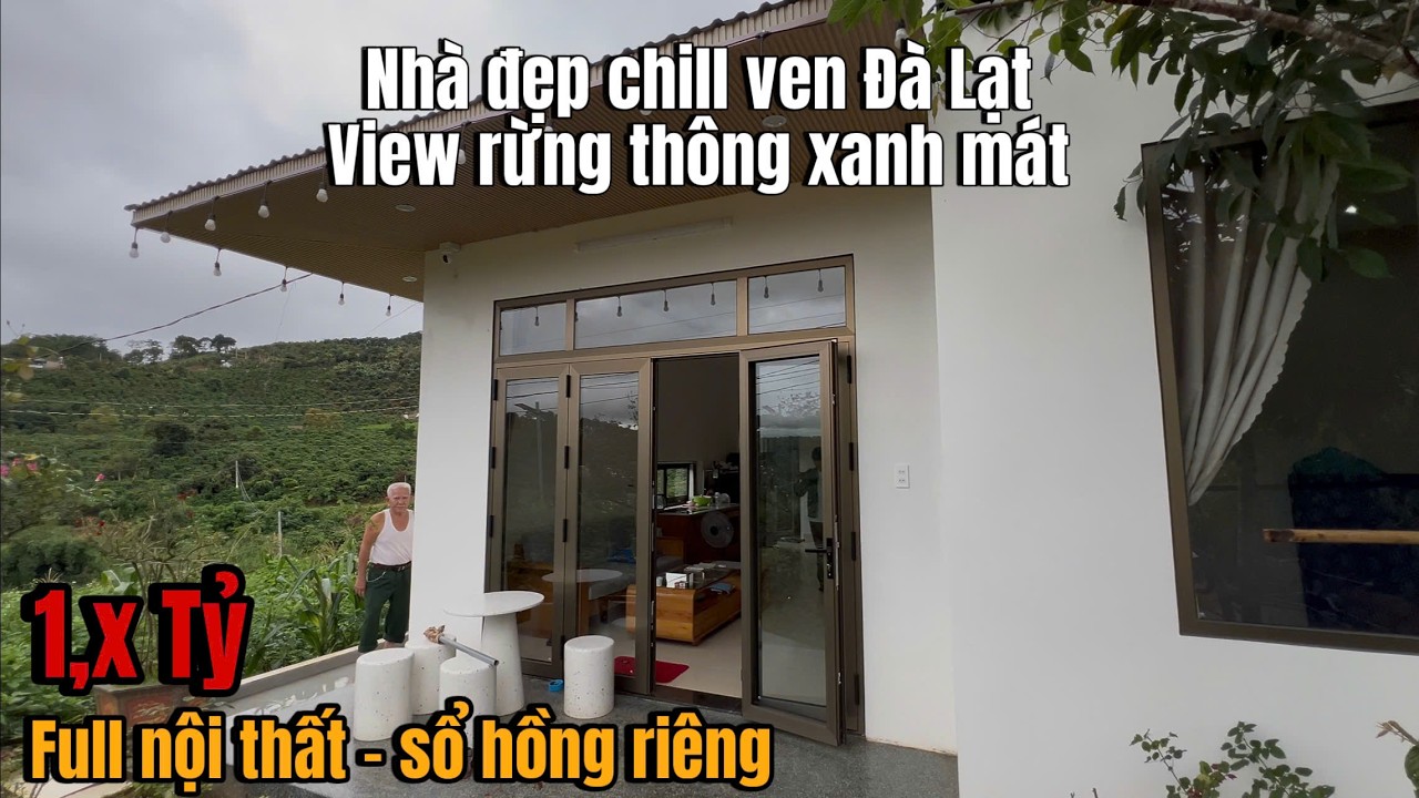 Nhà xinh chill xung quanh là rừng thông ven Đà Lạt !