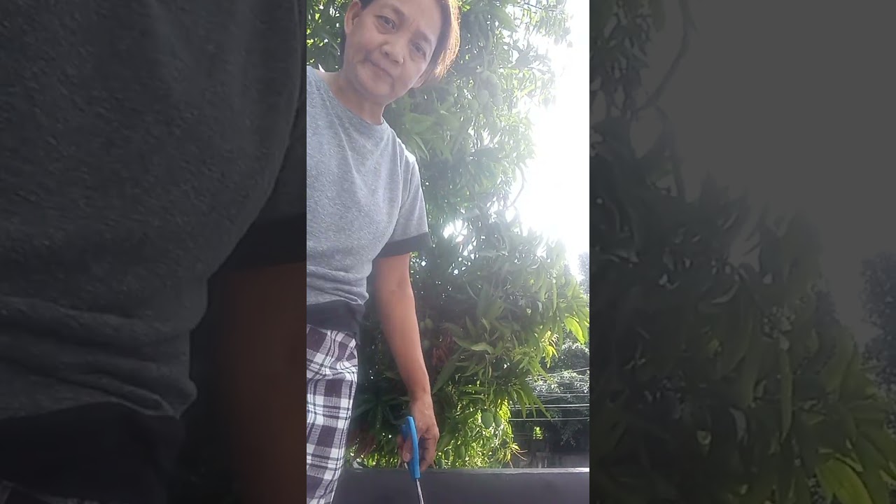 Panahon ng mga manga umakyat ng bubong 