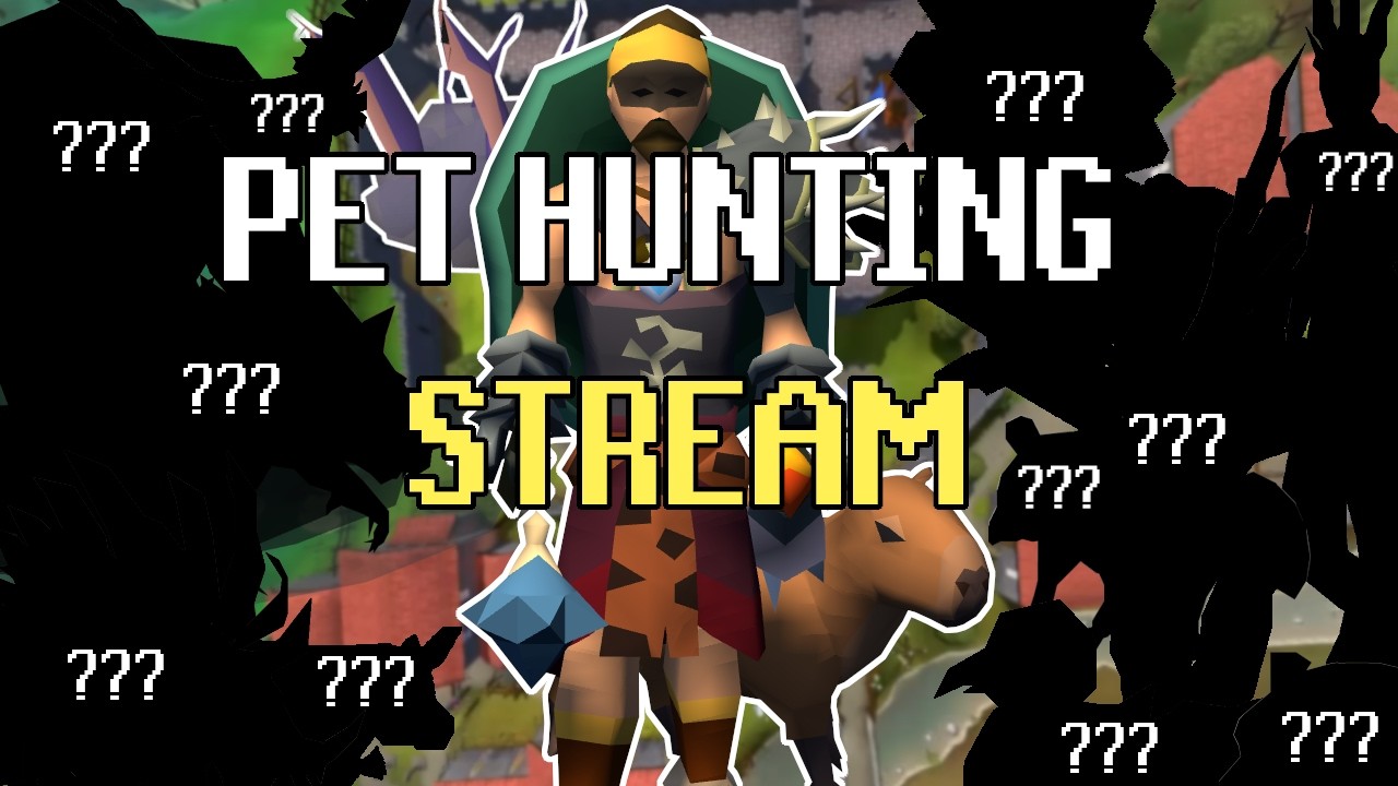 PET HUNTING - Old School RuneScape Stream (OSRS)