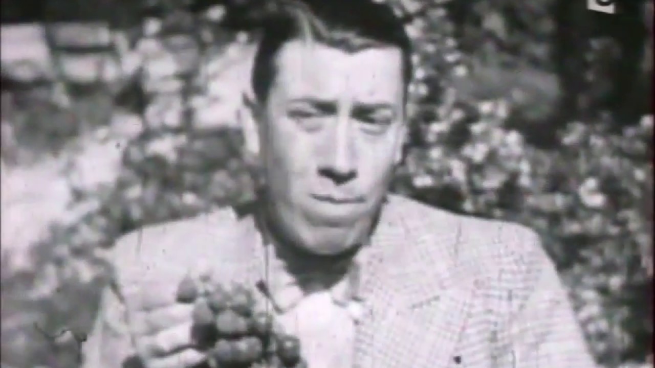 Fernandel # 1 (documentaire 1991)