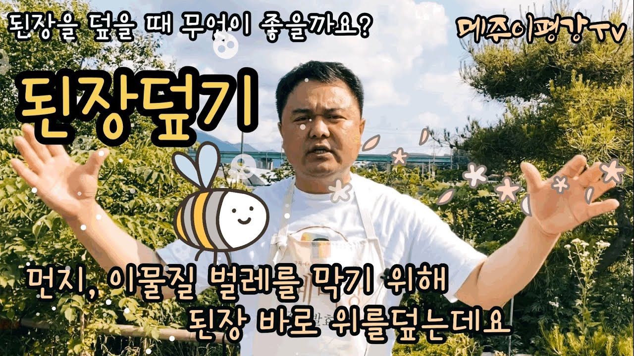 된장보관법을 잘 알아야 된장이 맛있게 익어요 장가르기 후 된장덮기 된장관리하기 쉽고 좋은 방법