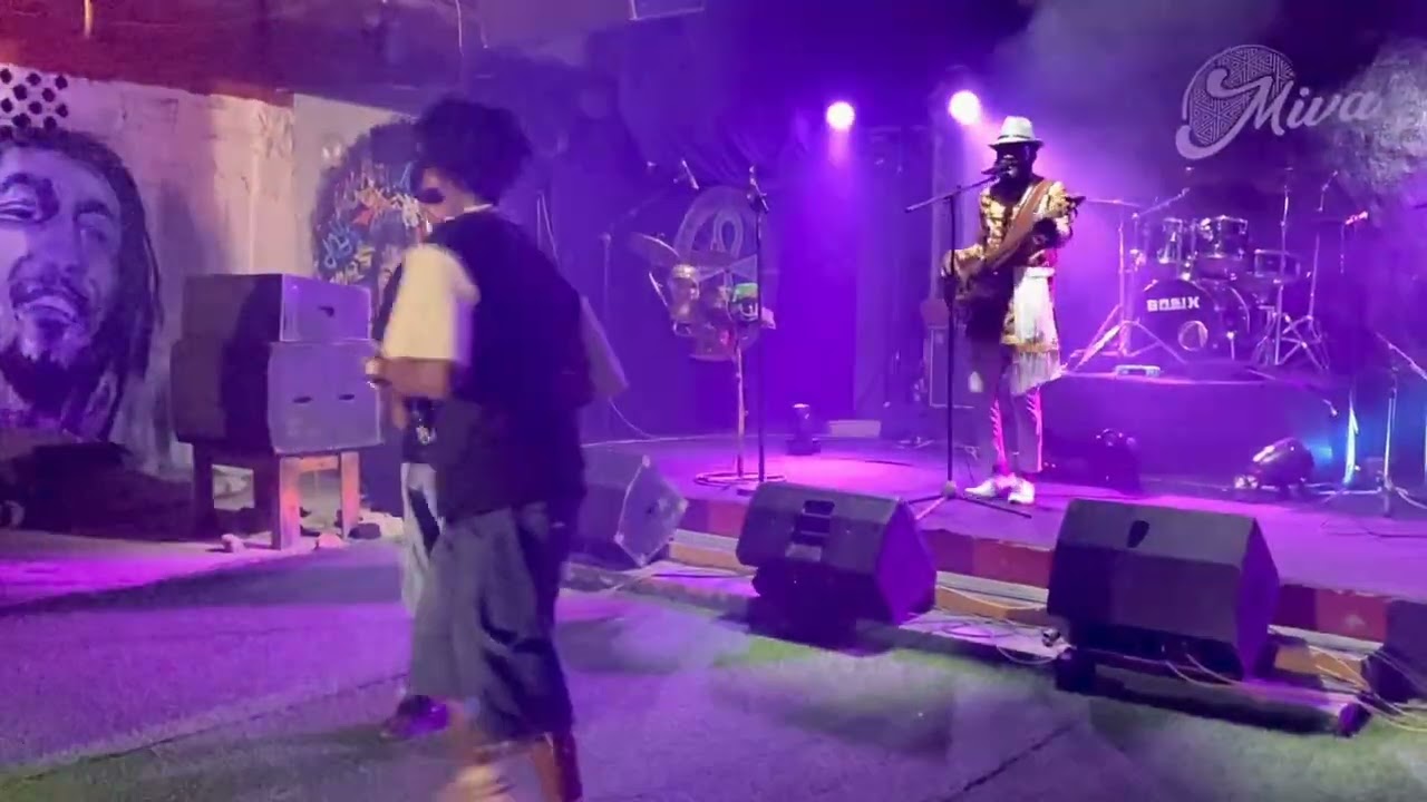 Le festival de la journée mondiale de la culture africaine et des afro-descendante