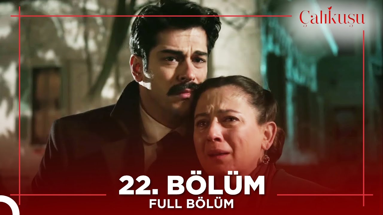 &Ccedil;alıkuşu 22.B&ouml;l&uuml;m