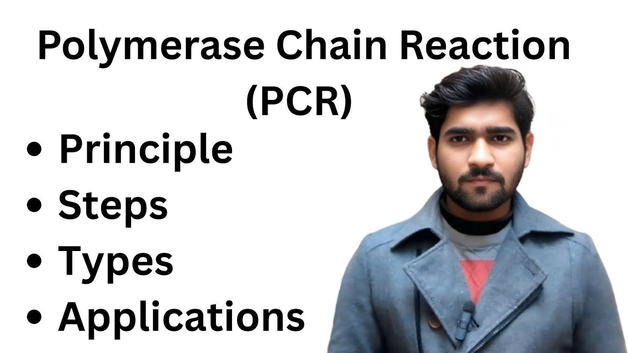 PCR (Polymerase Chain Reaction) | Principle, Types & Reagents | MLT Hub with Ali Hasnain