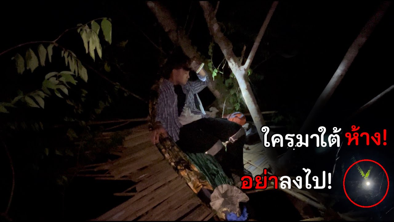 ห้างเก่าใครไม่รู้! อยู่บนต้นไม้สุง! เจอซากสัตว์ตาย! นอนห้างเก่าเจอดีเข้า!