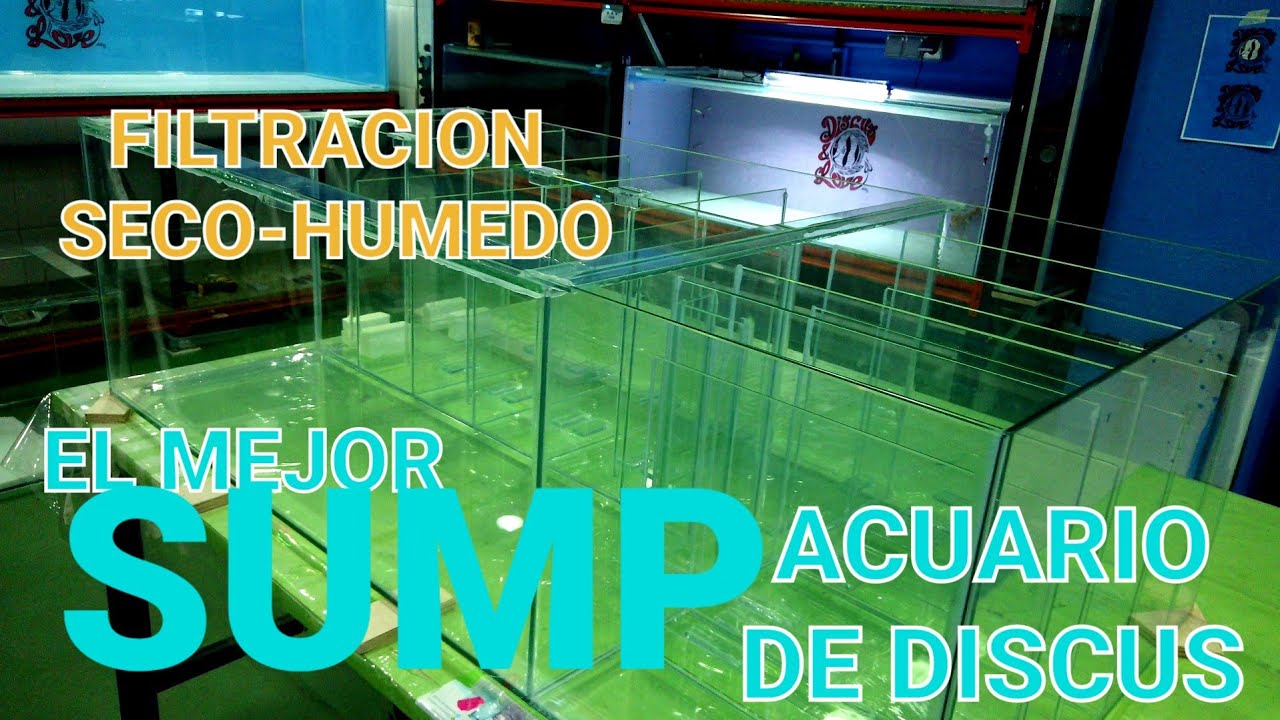 EL MEJOR SUMP PARA ACUARIO DE DISCOS