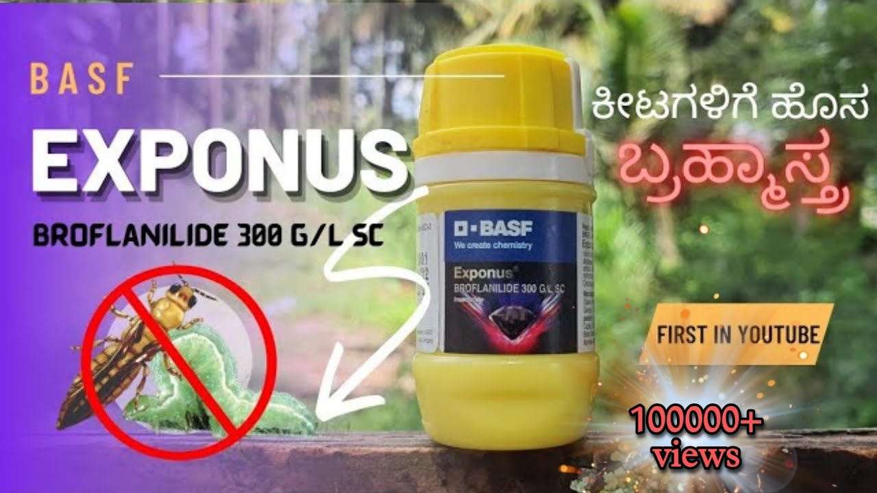 BASF Exponus | New product | basf ನ ಹೊಸ ಕೀಟನಾಶಕ | Broflanilide Insectide | complete information |