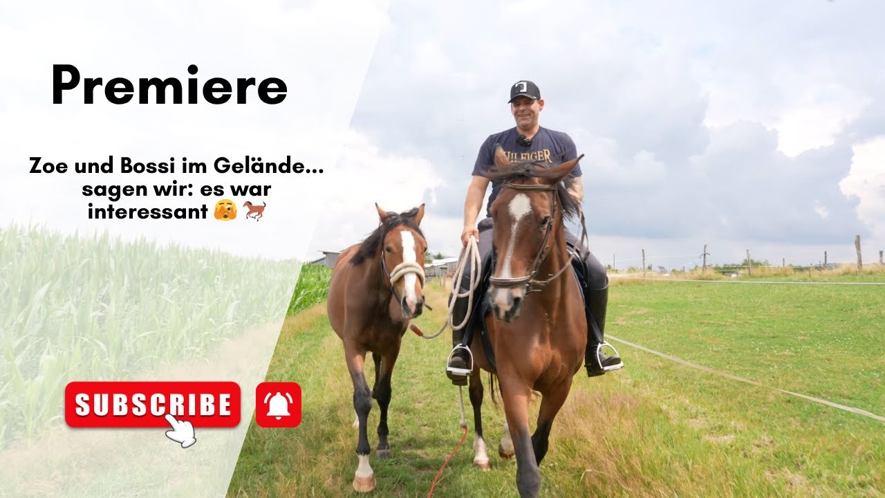 Zoe und Bossi im Gelände.... sagen wir: es war interessant