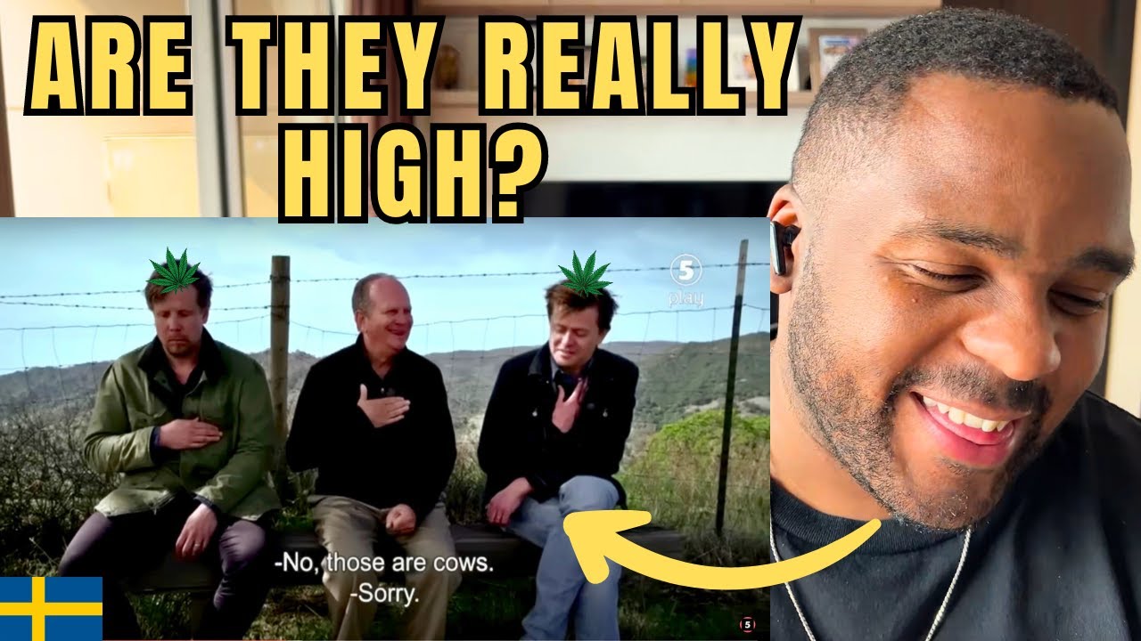 Brit Reacts to La Bamba | Swedish tv hosts eat magic cookies and get paralyzed by laughter