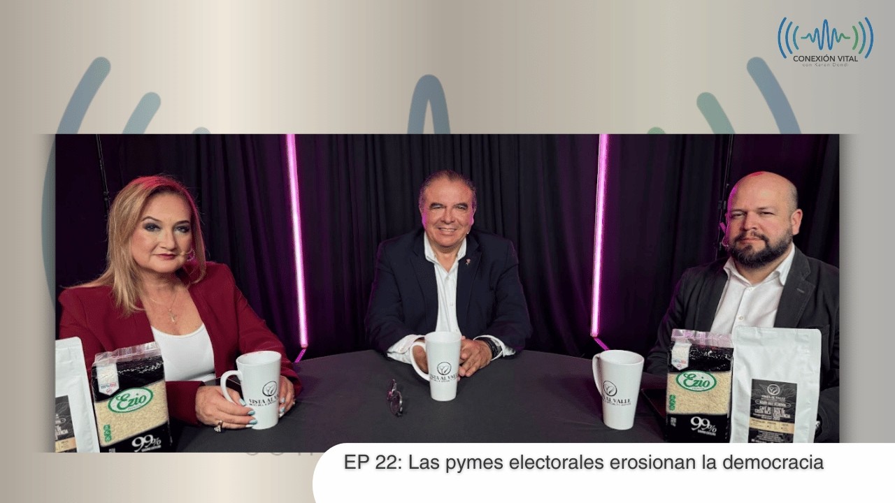 EP 22: Las pymes electorales erosionan la democracia