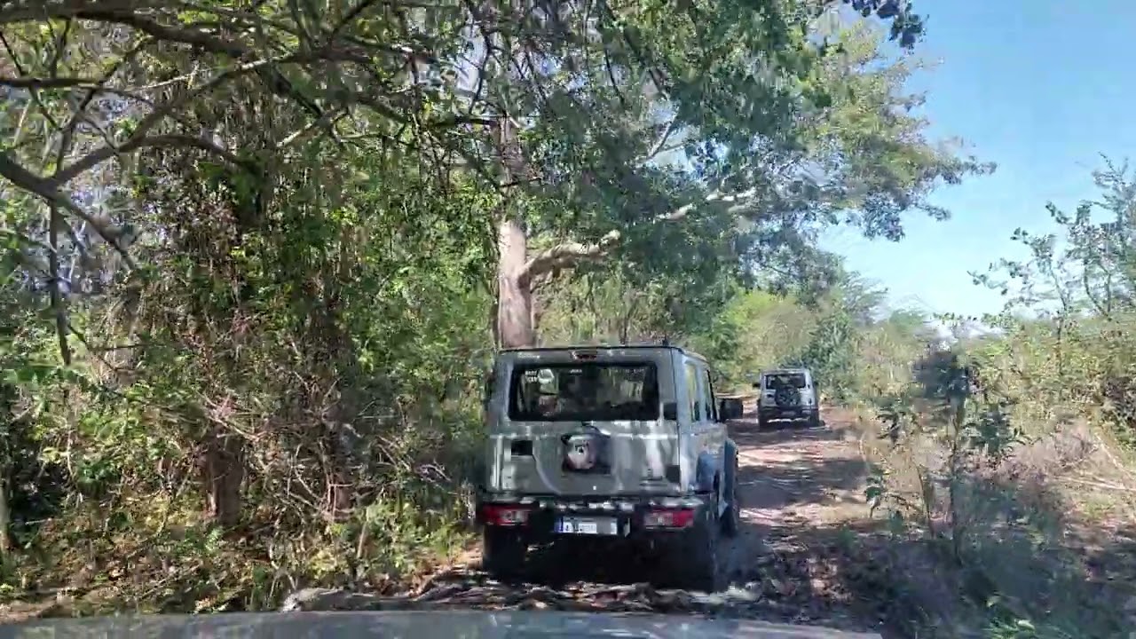 Jeep Safari Holguin Cuba (sentier) 2023