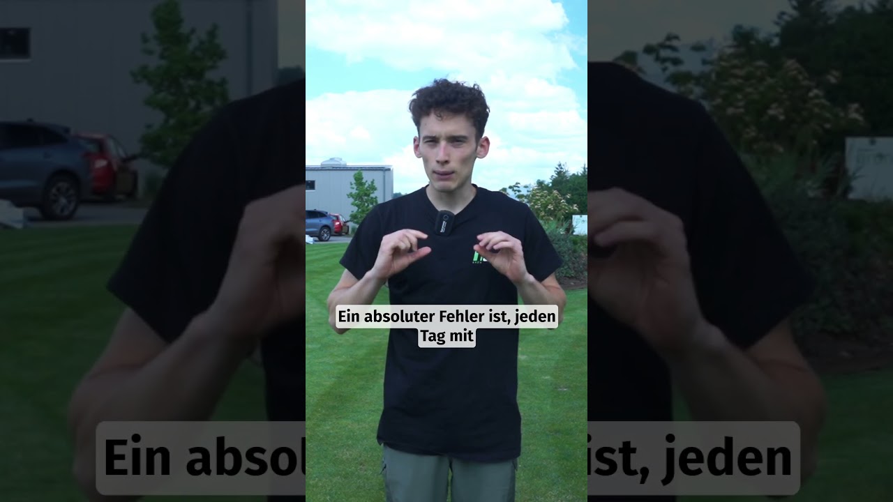 Wie oft Rasen bewässern? 💧 