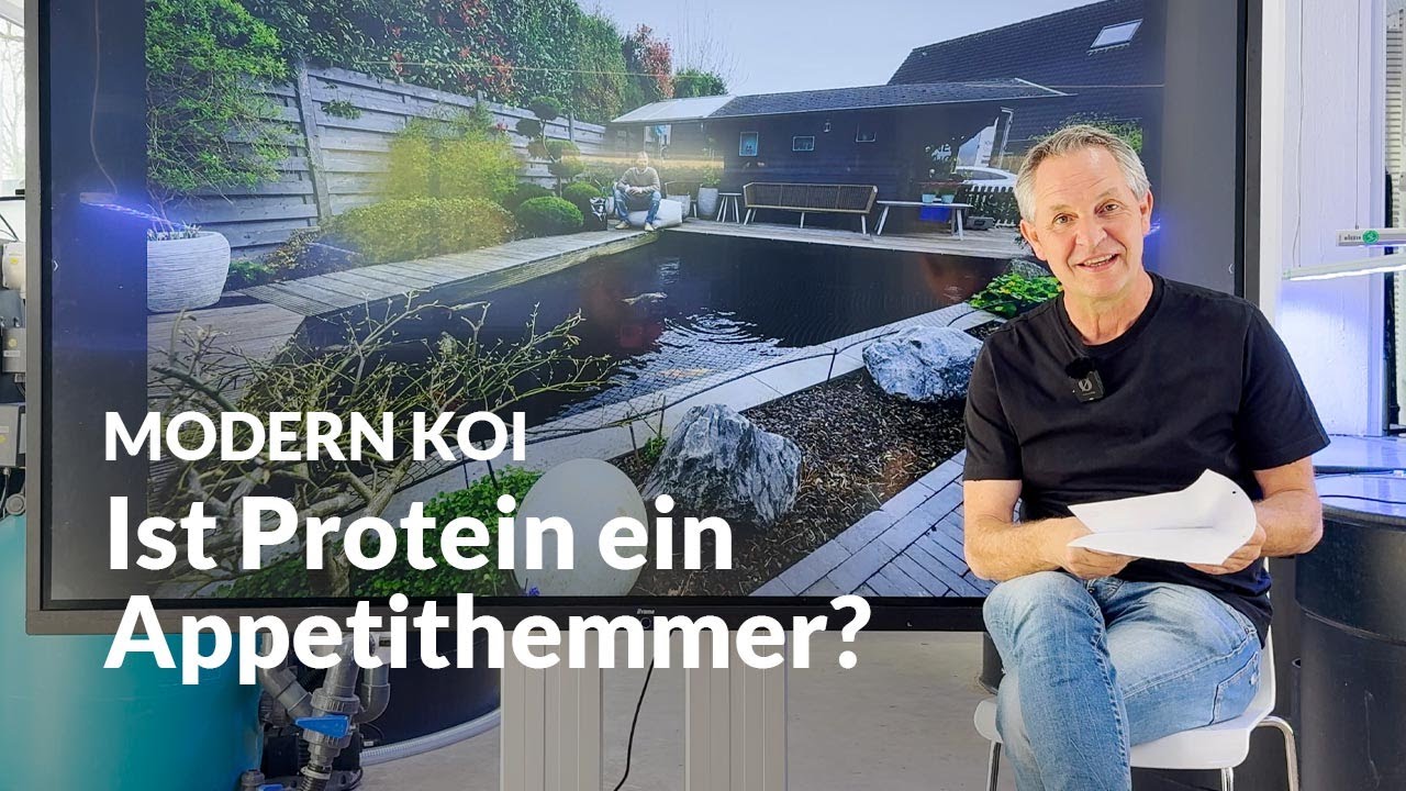 30 % Protein im Koifutter &ndash; clever oder Konsumentenfalle? | Modern Koi Blog #7330