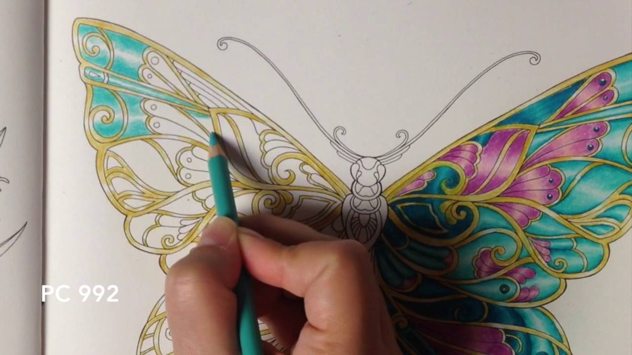 Magical Jungle - Butterfly