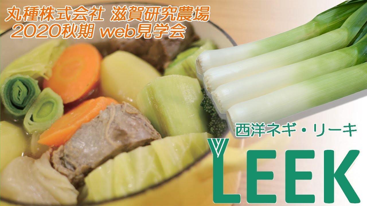 西洋ネギ・リーキ紹介＆調理