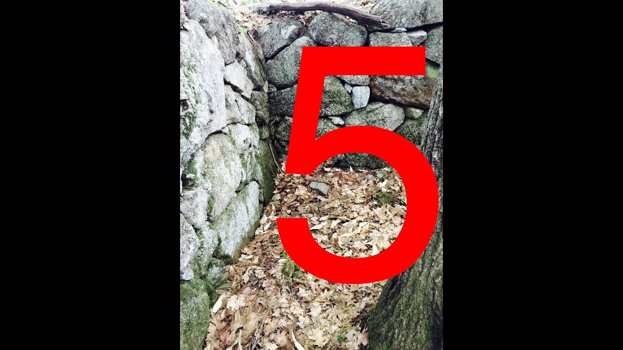 5 steps to metal detecting cellar holes that were hit hard, GREAT hunt!!