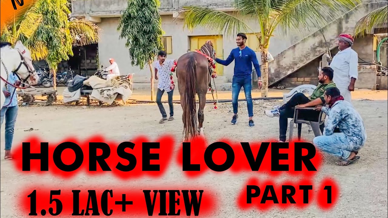 Horse Lover || Ridding || Part 1 || Viru Korat || Vlog