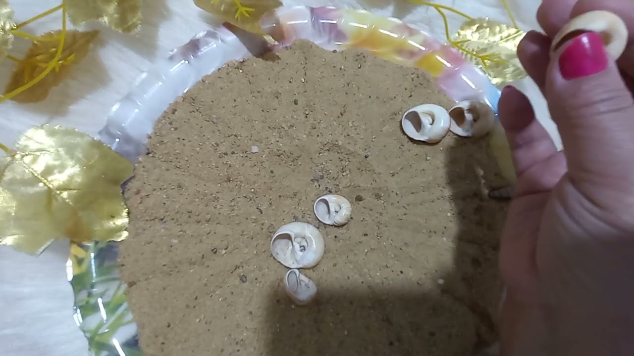 القراءة بالرمال والودع لبرج العقرب 🦂