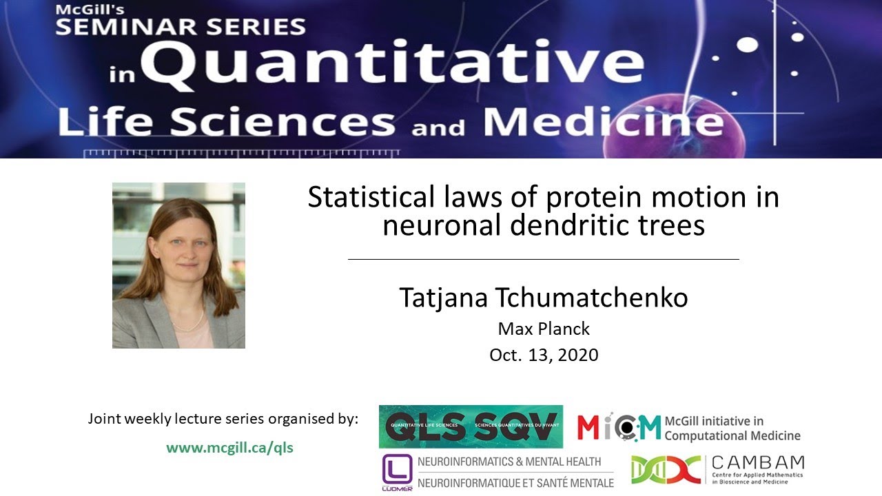 QLS Talk: Statistical laws of protein motion in neuronal dendritic trees