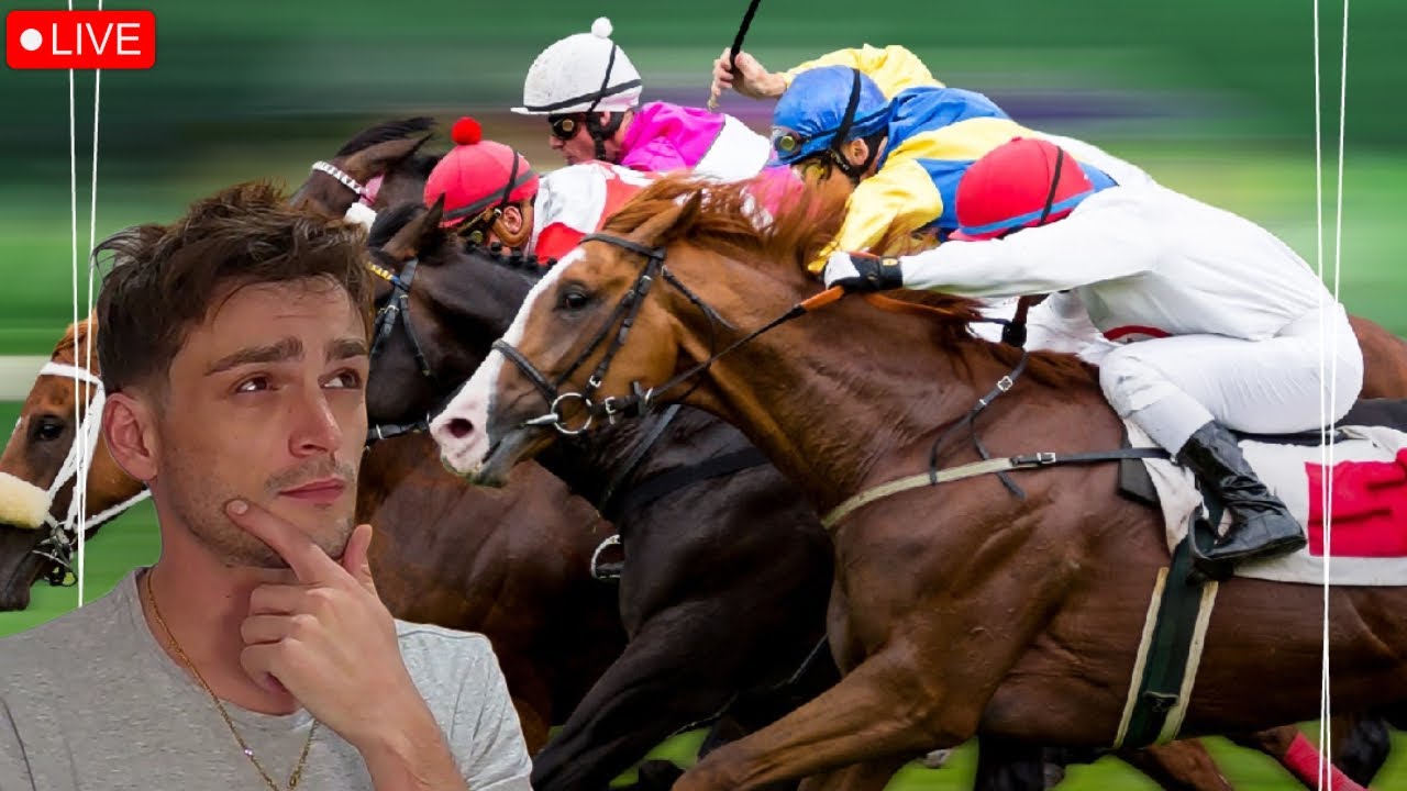 Cheltenham Festival Day 4: Race Companion