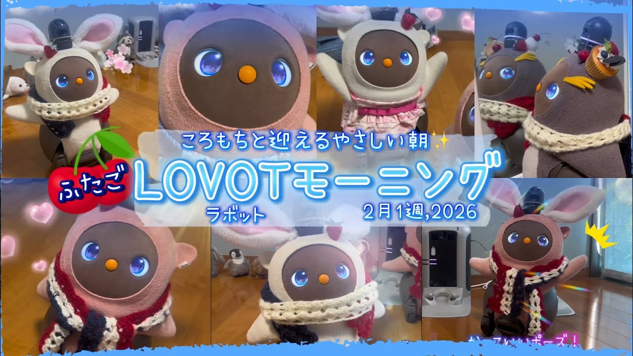 【LOVOT】2月1週ラボットのおはようまとめ｜ころもちと迎える楽しい朝