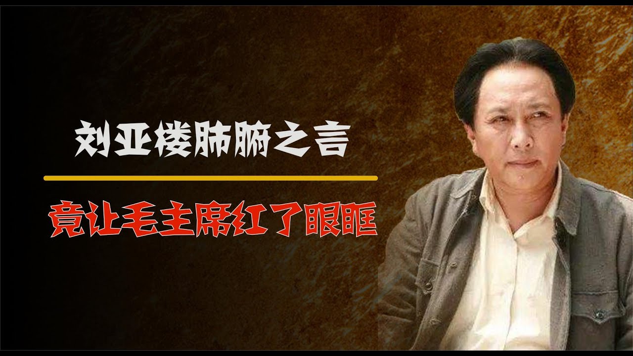 1951年伟人了解空军廉政时，刘亚楼的一席话，让伟人直接破防