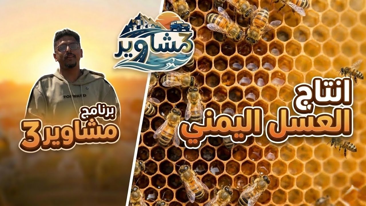 برنامج مشاوير3 | الحلقة 15 | تقديم سالم الخضر | مناحل العسل اليمني