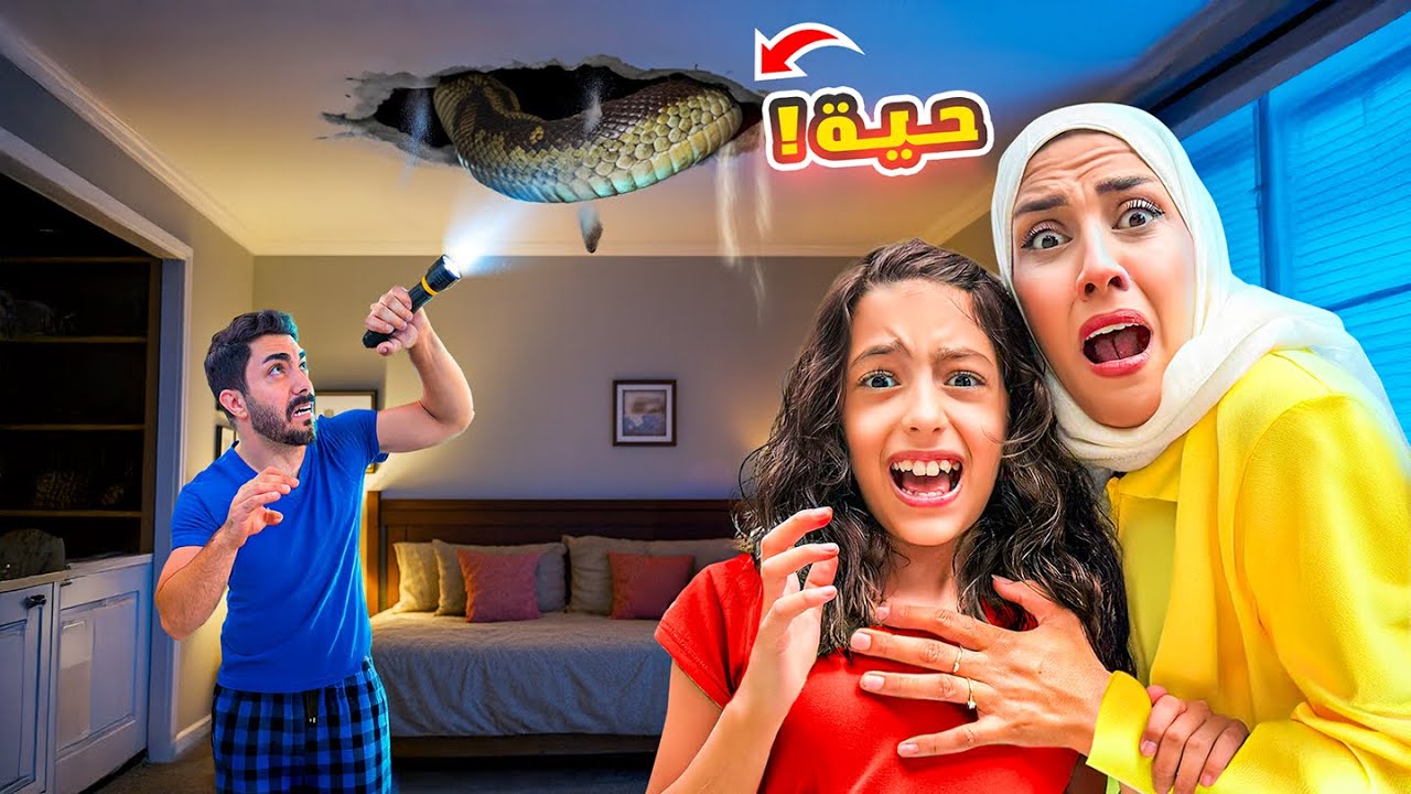 تيما و رضا لقوا أفعى بسقف البيت !!😱😭