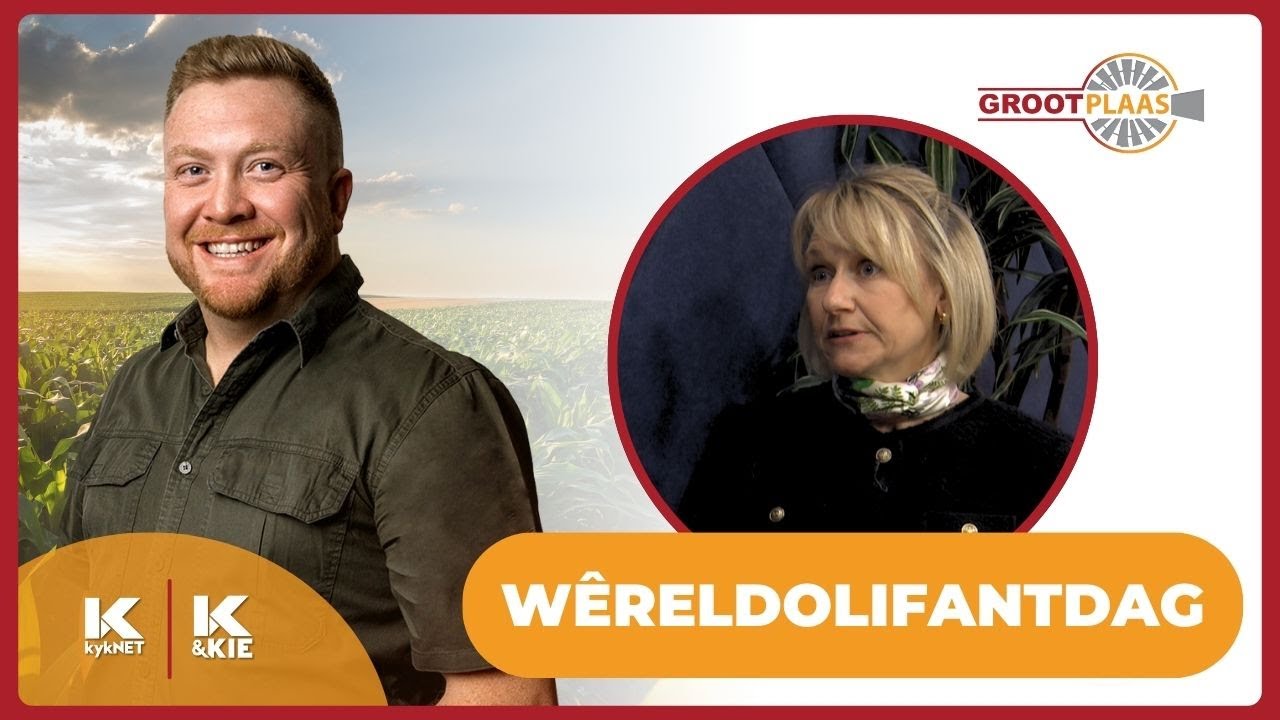 Adine Roode oor Wêreldolifantdag | 12 Aug 25