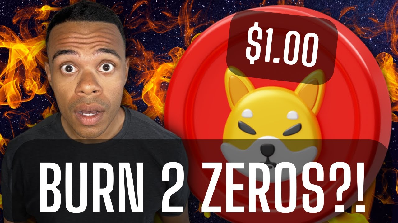SHIBARIUM TO BURN SHIB! $1 Possible?! The HYPER BURN!