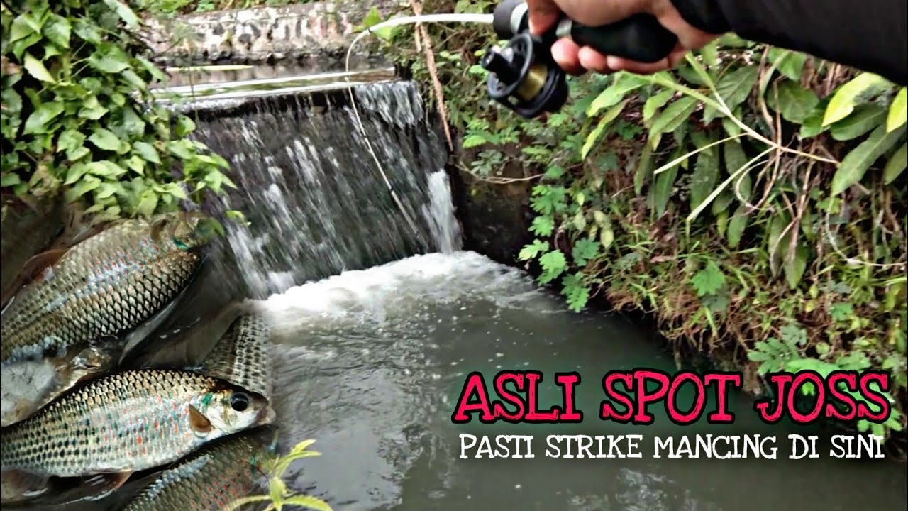 MICRO FISHING || MANCING IKAN NIlEM CUMA 30 MENIT, SEBELUM HUJAN BADAI.